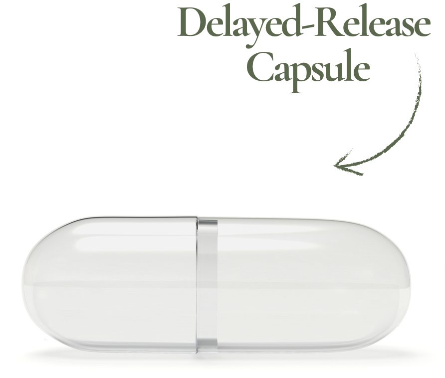 Delayed-release-capsule